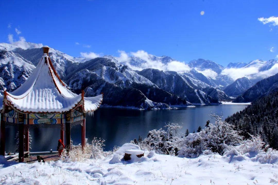 组装机械盔头龙2